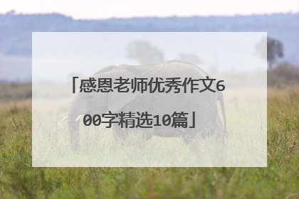 感恩老师优秀作文600字精选10篇