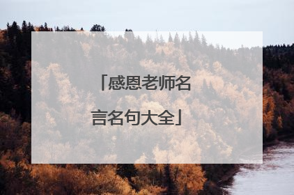 感恩老师名言名句大全