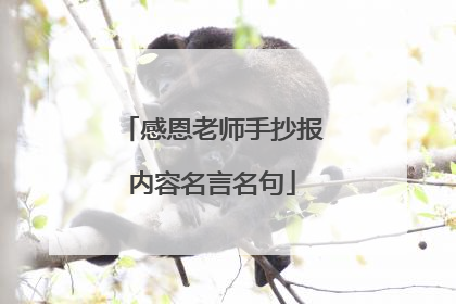 感恩老师手抄报内容名言名句