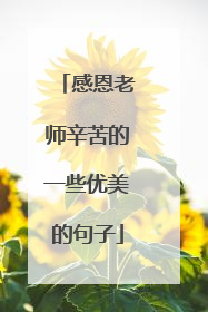 感恩老师辛苦的一些优美的句子