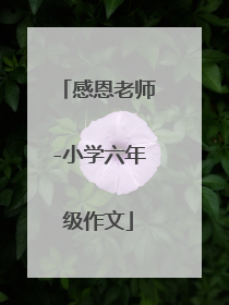 感恩老师-小学六年级作文