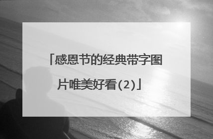 感恩节的经典带字图片唯美好看(2)