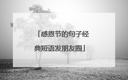 感恩节的句子经典短语发朋友圈
