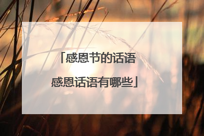 感恩节的话语 感恩话语有哪些