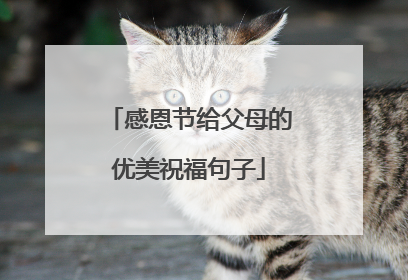 感恩节给父母的优美祝福句子