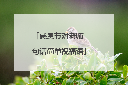 感恩节对老师一句话简单祝福语