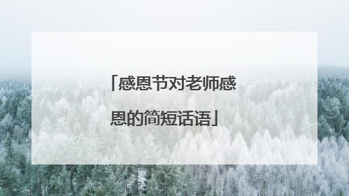 感恩节对老师感恩的简短话语