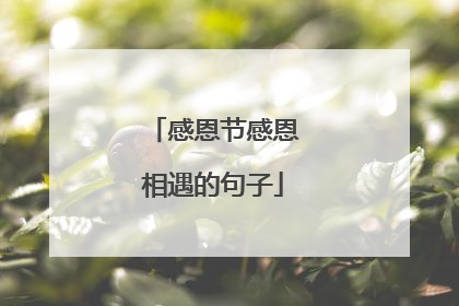 感恩节感恩相遇的句子