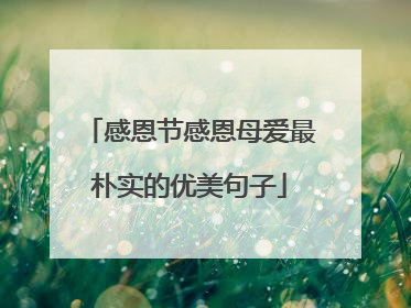 感恩节感恩母爱最朴实的优美句子