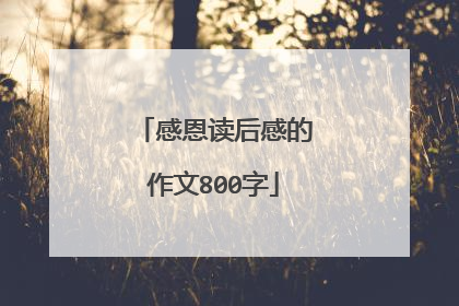 感恩读后感的作文800字