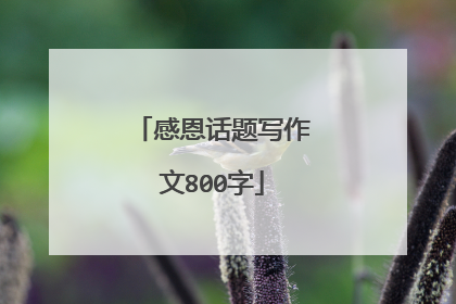 感恩话题写作文800字