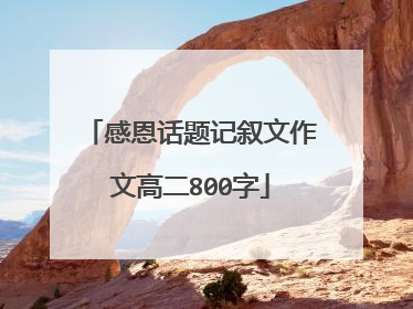 感恩话题记叙文作文高二800字