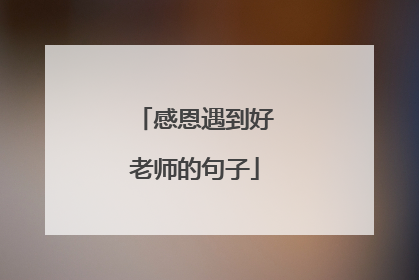 感恩遇到好老师的句子