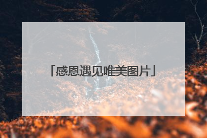 感恩遇见唯美图片