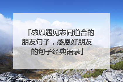 感恩遇见志同道合的朋友句子,感恩好朋友的句子经典语录
