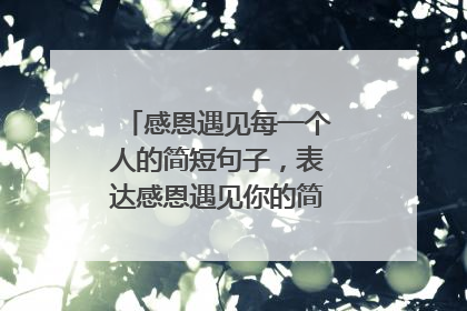 感恩遇见每一个人的简短句子，表达感恩遇见你的简短句子有哪些？