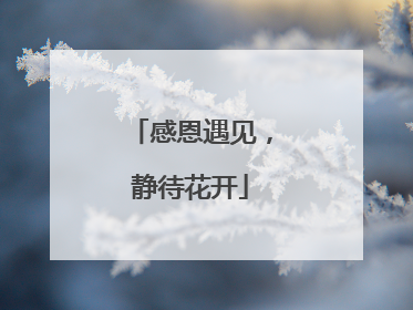 感恩遇见，静待花开