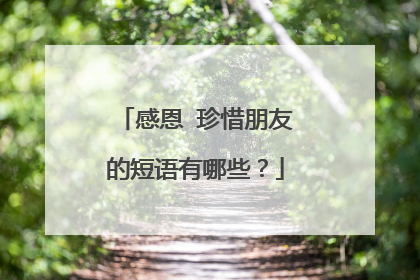 感恩 珍惜朋友的短语有哪些?
