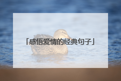 感悟爱情的经典句子