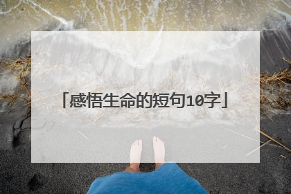 感悟生命的短句10字