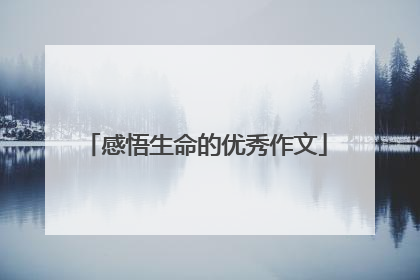 感悟生命的优秀作文