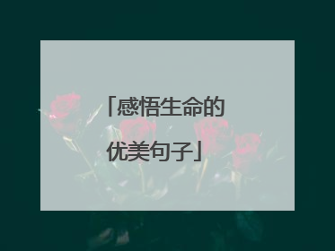 感悟生命的优美句子