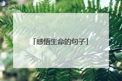 感悟生命的句子