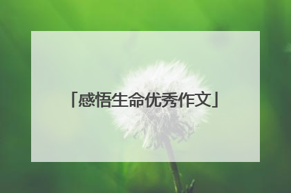 感悟生命优秀作文