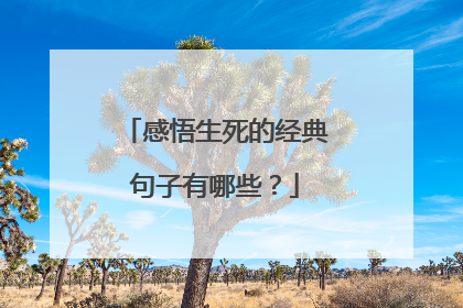 感悟生死的经典句子有哪些?