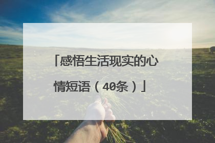 感悟生活现实的心情短语（40条）