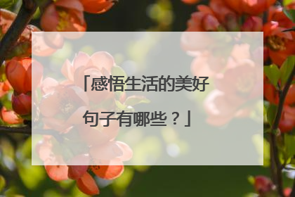 感悟生活的美好句子有哪些？