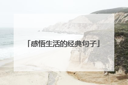 感悟生活的经典句子