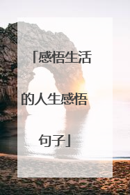 感悟生活的人生感悟句子