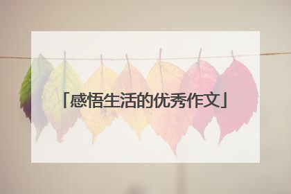 感悟生活的优秀作文