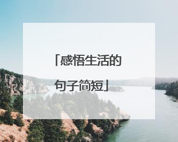 感悟生活的句子简短
