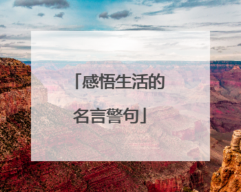 感悟生活的名言警句