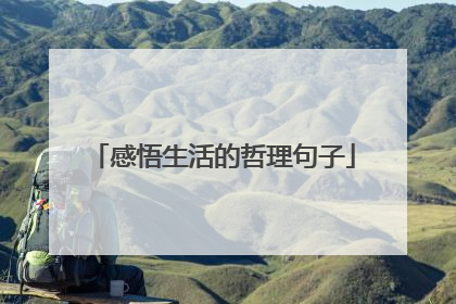感悟生活的哲理句子