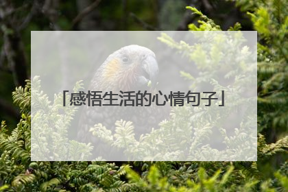 感悟生活的心情句子