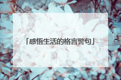 感悟生活的格言警句