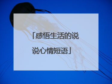感悟生活的说说心情短语