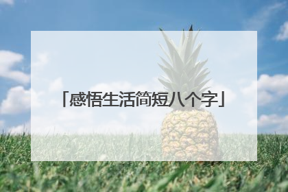感悟生活简短八个字