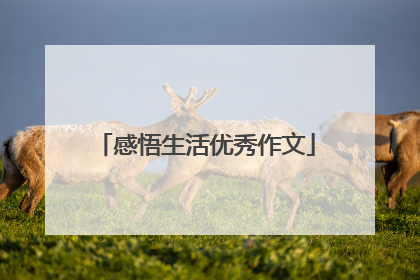 感悟生活优秀作文