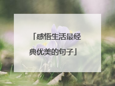 感悟生活最经典优美的句子