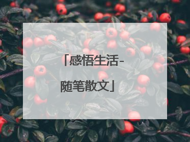 感悟生活-随笔散文