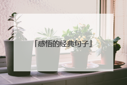 感悟的经典句子