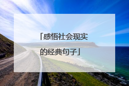 感悟社会现实的经典句子