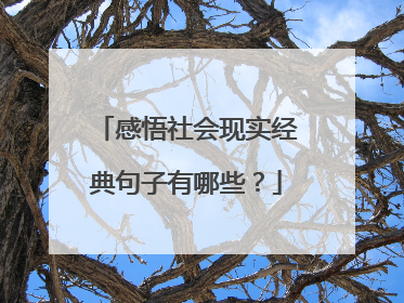 感悟社会现实经典句子有哪些？