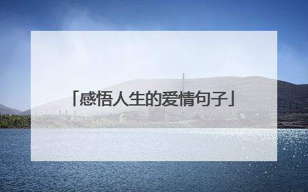 感悟人生的爱情句子