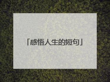 感悟人生的短句