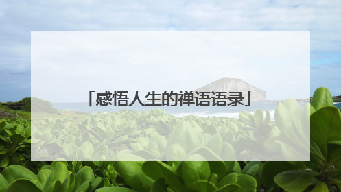 感悟人生的禅语语录